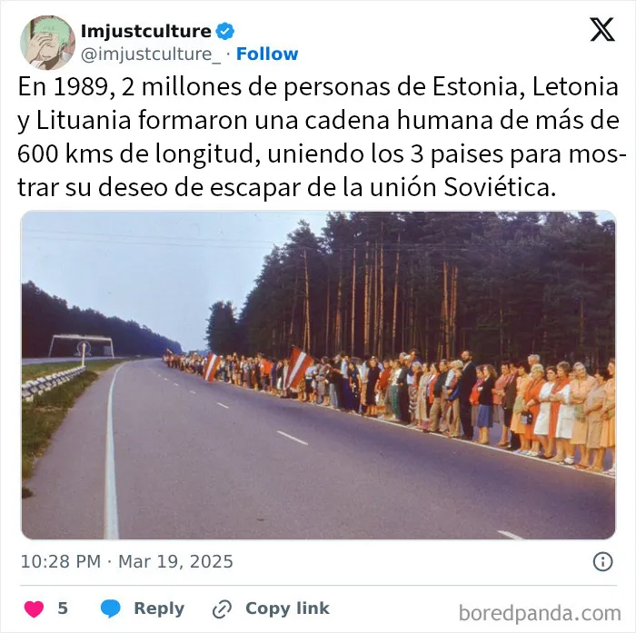 20 Publicaciones e historias fascinantes para los más curiosos