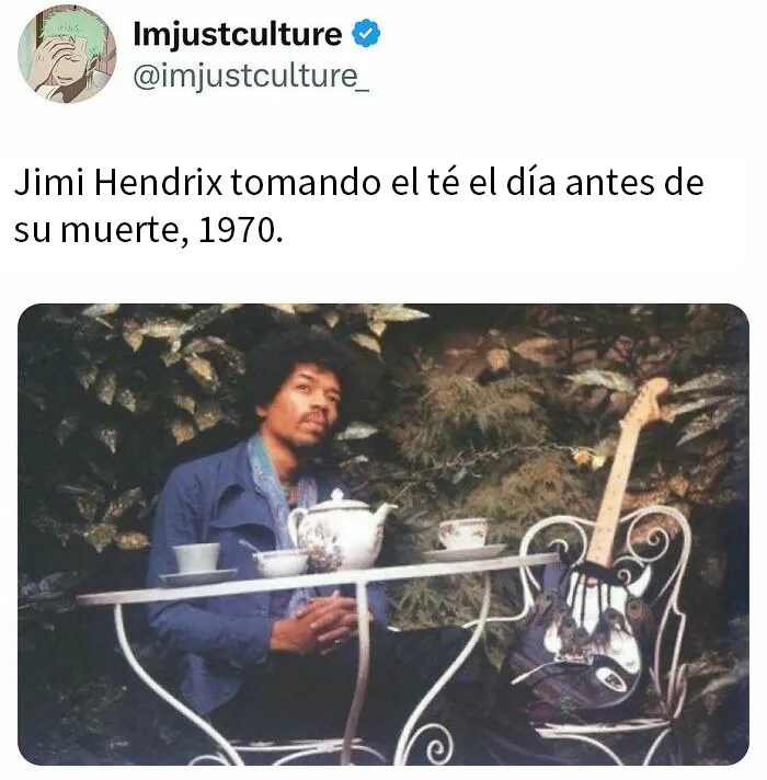 20 Publicaciones e historias fascinantes para los más curiosos