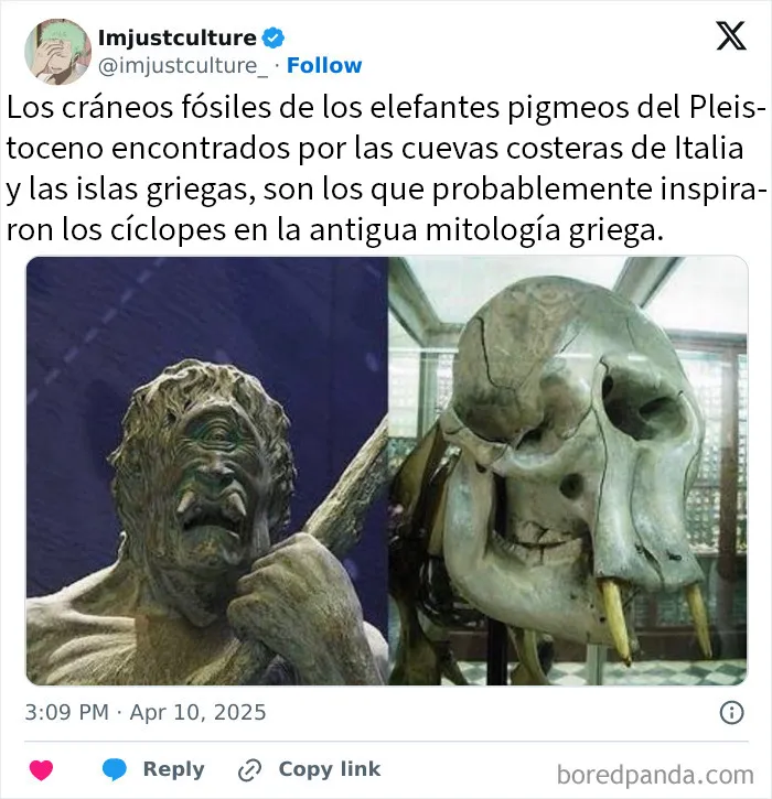 20 Publicaciones e historias fascinantes para los más curiosos