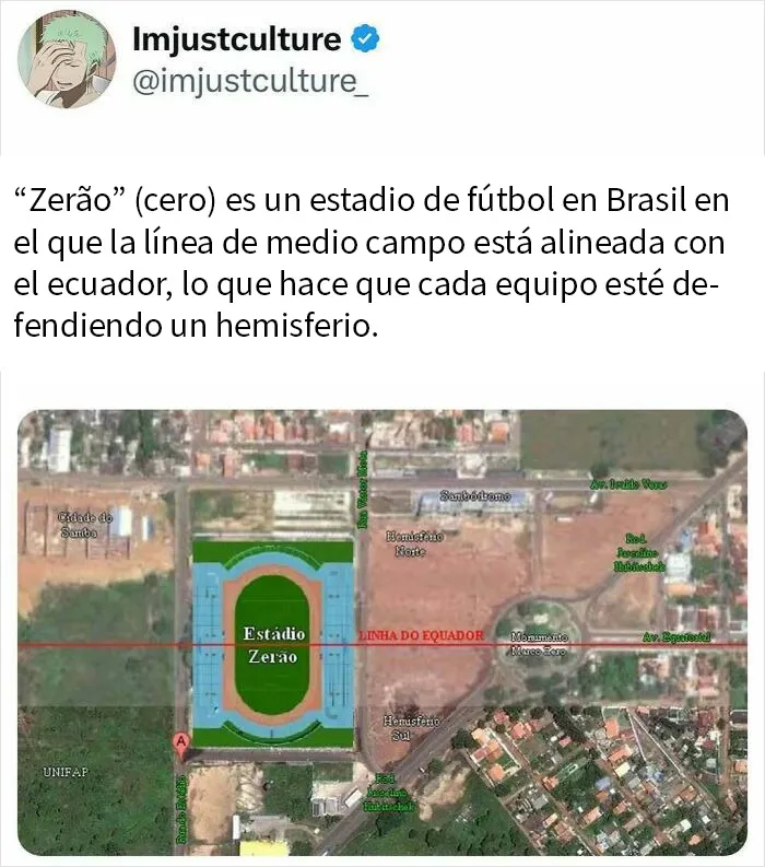 20 Publicaciones e historias fascinantes para los más curiosos