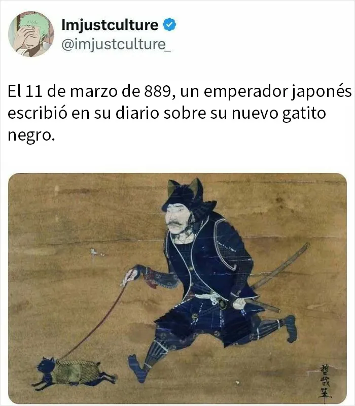 20 Publicaciones e historias fascinantes para los más curiosos