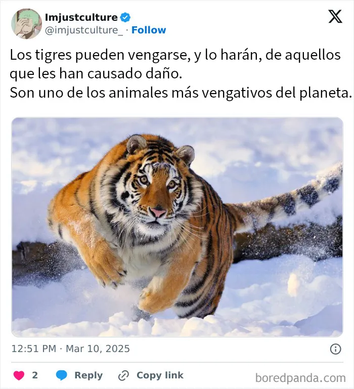 20 Publicaciones e historias fascinantes para los más curiosos