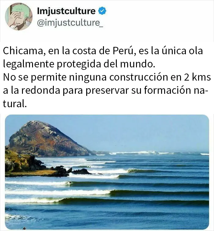 20 Publicaciones e historias fascinantes para los más curiosos