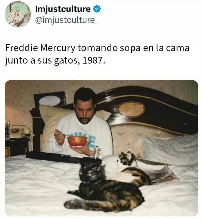 20 Publicaciones e historias fascinantes para los más curiosos