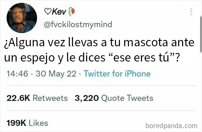 Así sabes que se les empieza a ir la olla