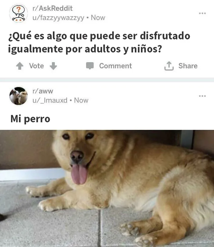 Reddit se responde a sí mismo