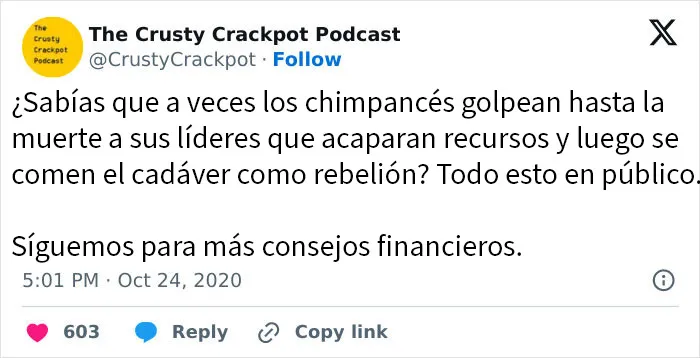 20 Personas comparten memes impactantes con humor y crudas verdades