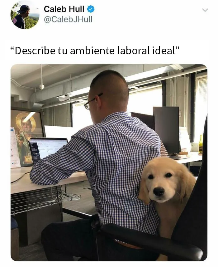 20 Memes de perros tan divertidos como reconfortantes para derretir tu corazón