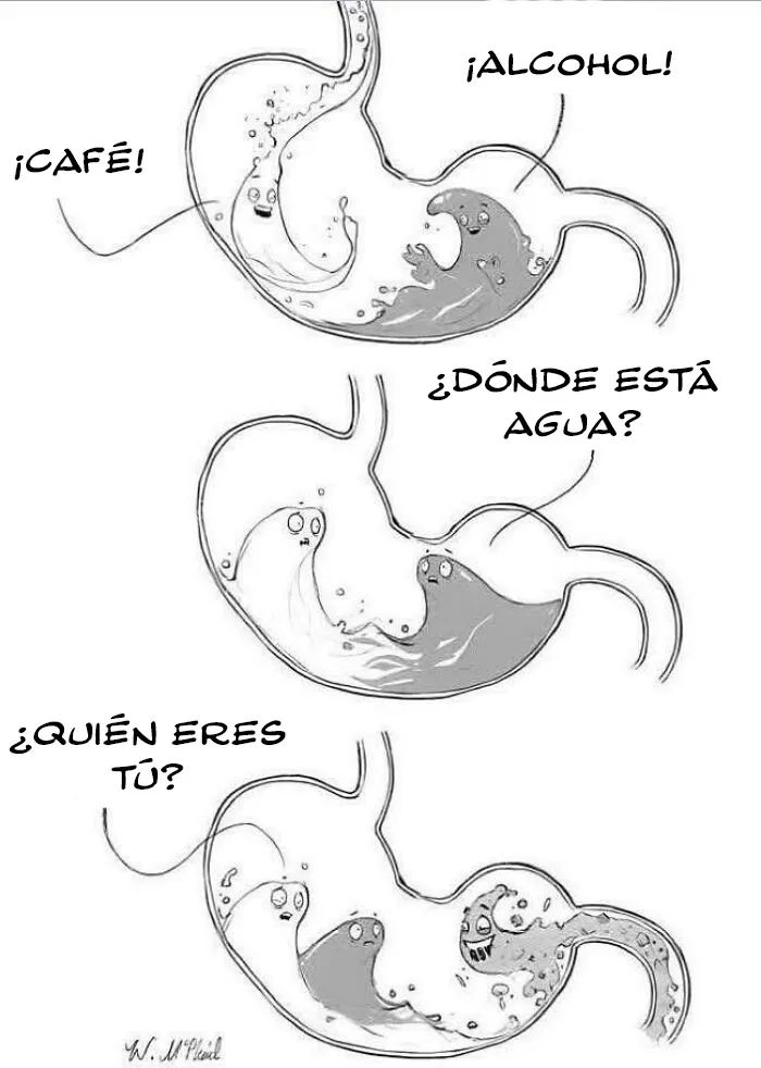 ¿Qué es ese otro líquido?
