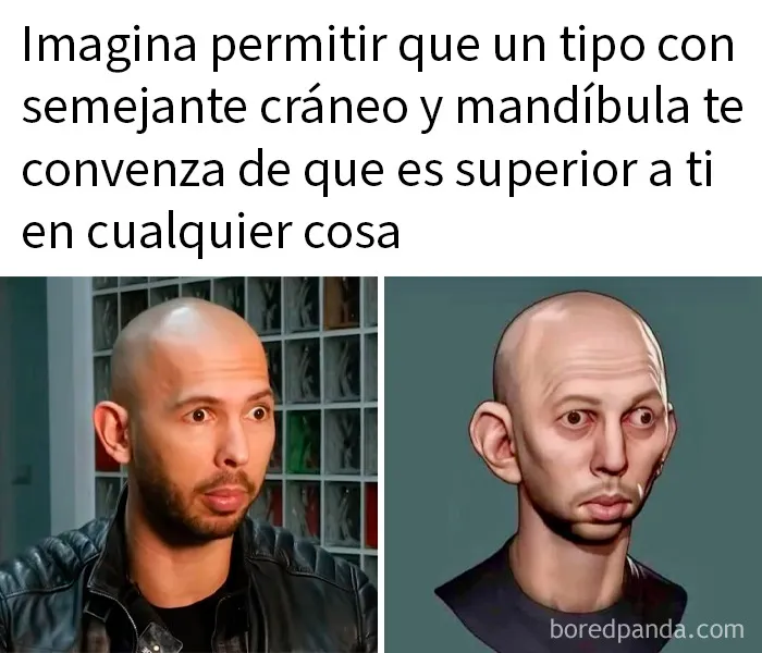 20 Memes divertidos para que no te falte tu dosis de risas diaria