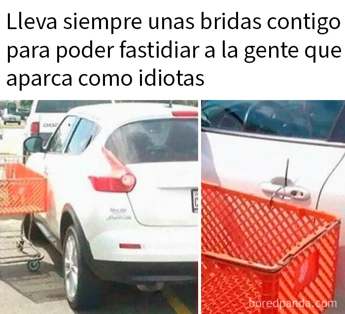 20 Memes divertidos para que no te falte tu dosis de risas diaria