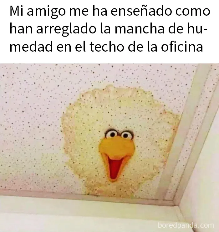 20 Memes divertidos para que no te falte tu dosis de risas diaria