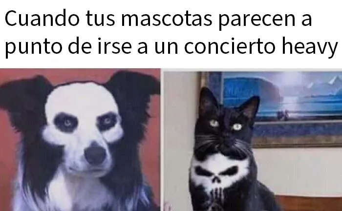 20 Memes aleatorios para traerte risas, caos y diversión