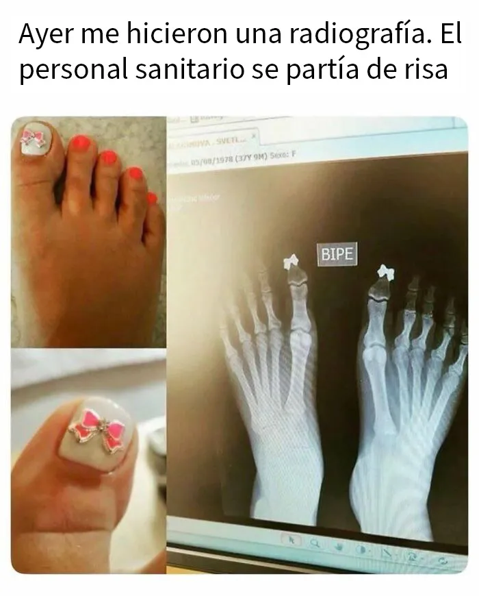 20 Memes aleatorios para traerte risas, caos y diversión