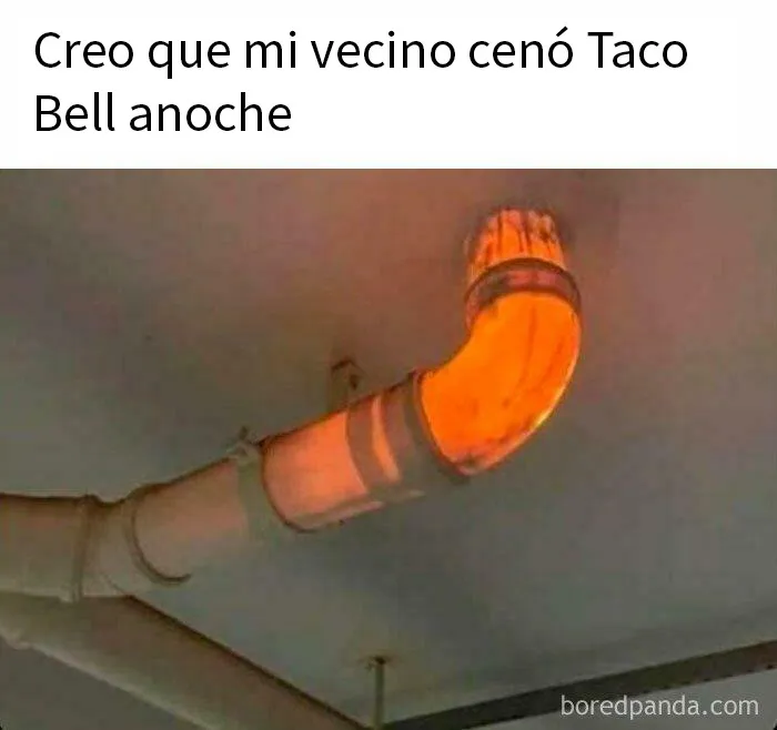20 Memes divertidos para que no te falte tu dosis de risas diaria