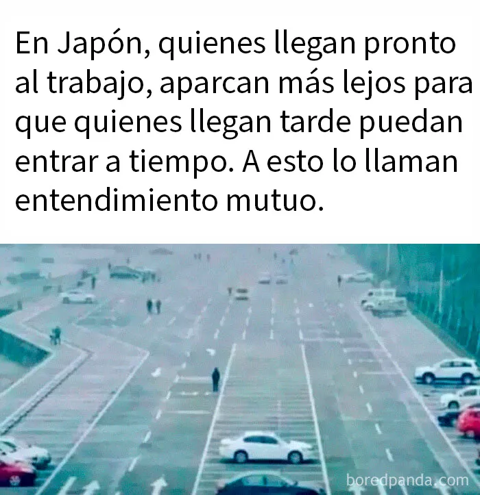 20 Memes aleatorios para traerte risas, caos y diversión