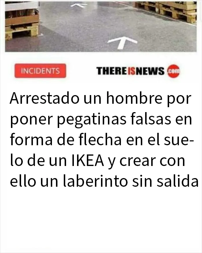 20 Memes divertidos para que no te falte tu dosis de risas diaria