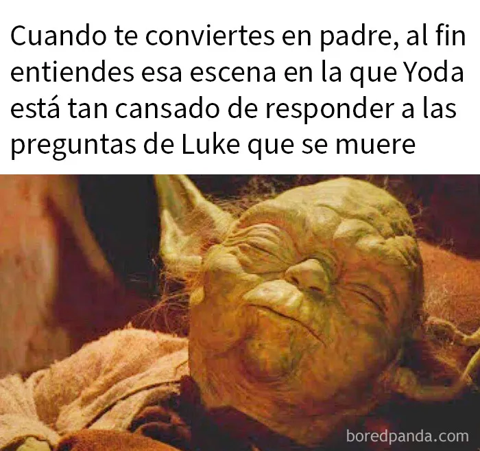 20 Memes divertidos para que no te falte tu dosis de risas diaria