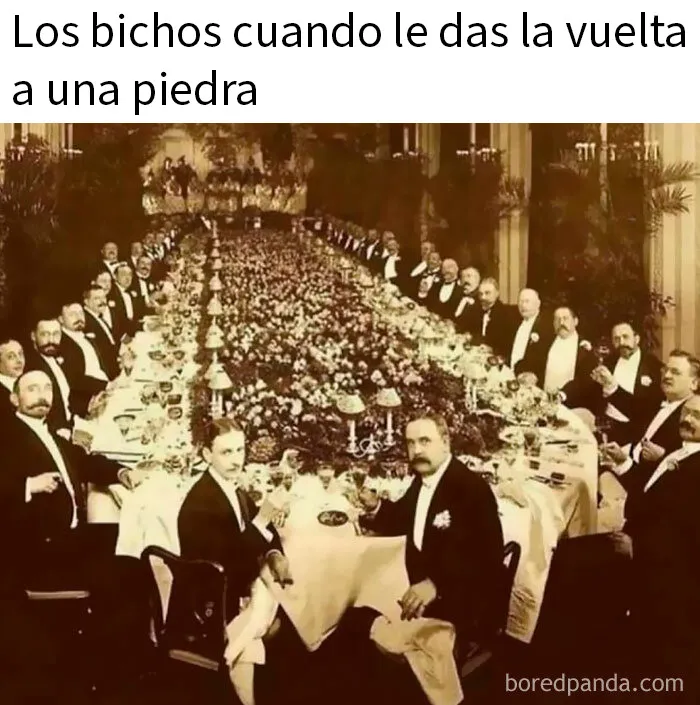 20 Memes aleatorios para traerte risas, caos y diversión