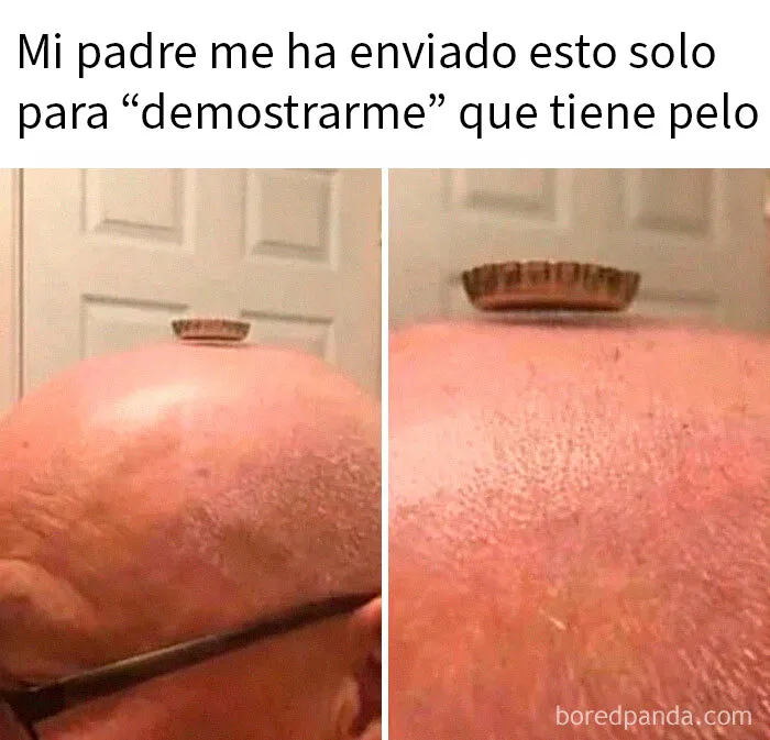 20 Memes aleatorios para traerte risas, caos y diversión