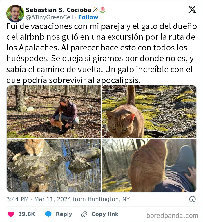 20 De las mejores frases que probablemente nadie había pensado antes