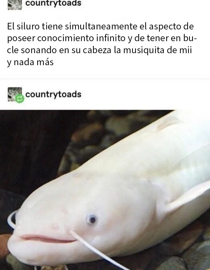 20 De las mejores frases que probablemente nadie había pensado antes