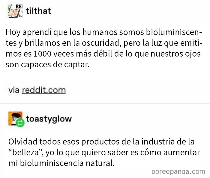 20 De las mejores frases que probablemente nadie había pensado antes