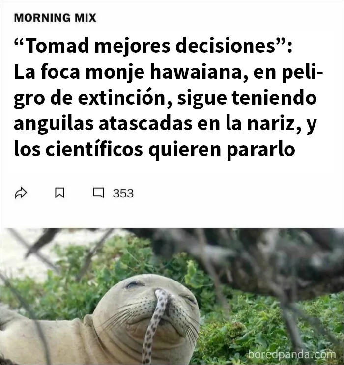20 De las mejores frases que probablemente nadie había pensado antes