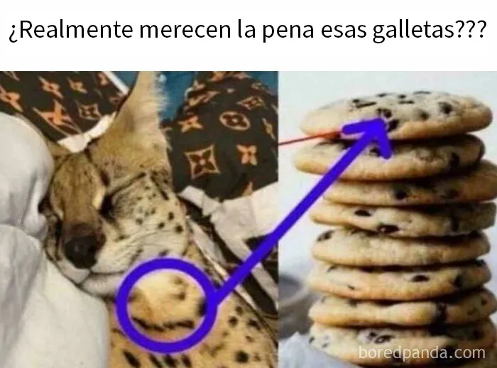 ¡Así se hacen realmente las galletas!