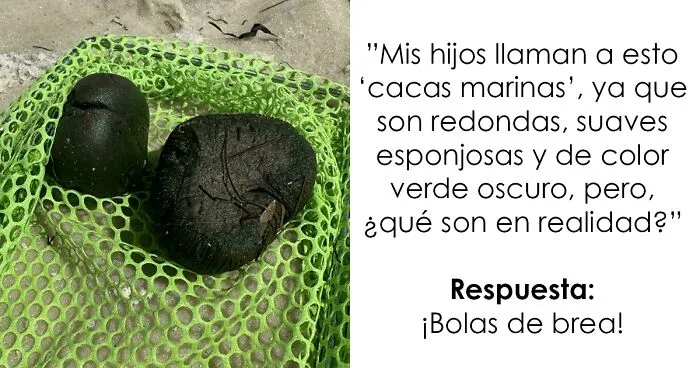 25 Personas que no tenían ni idea de lo que estaban viendo y pidieron ayuda a Internet (nuevas fotos)