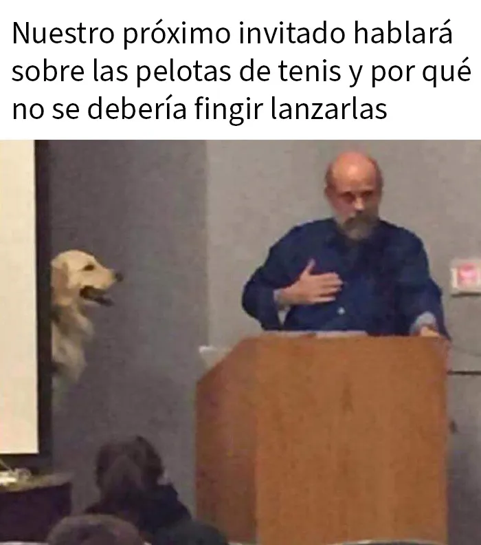 20 Divertidos y sarcásticos memes de esta página especializada en ellos