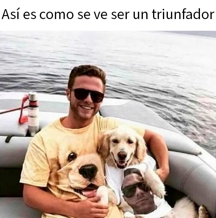 20 Divertidos y sarcásticos memes de esta página especializada en ellos