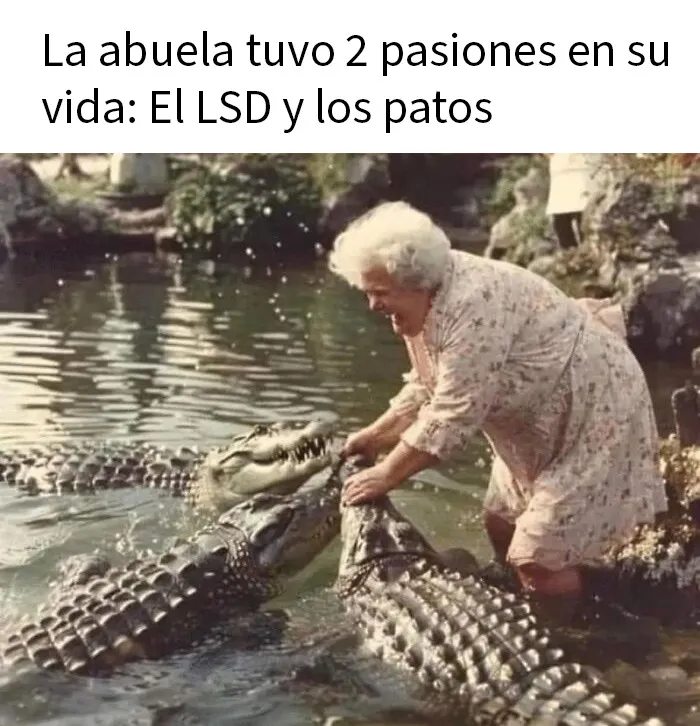 20 Divertidos y sarcásticos memes de esta página especializada en ellos