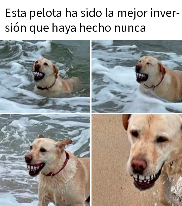 20 Divertidos y sarcásticos memes de esta página especializada en ellos