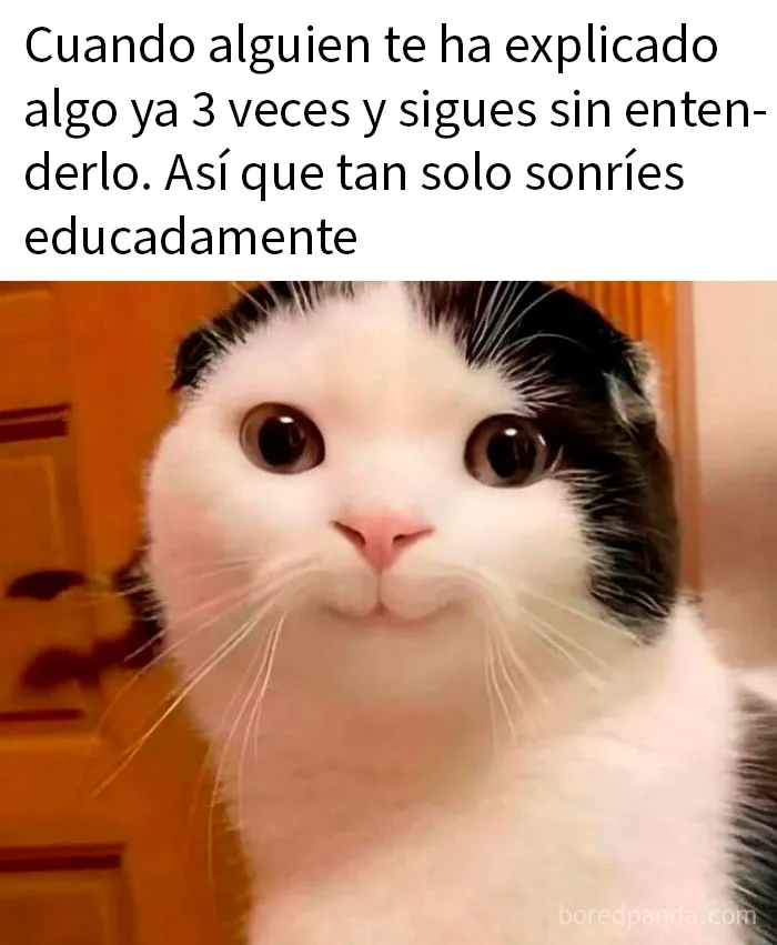 20 Memes sarcásticos que te hacen llorar por dentro y reír por fuera
