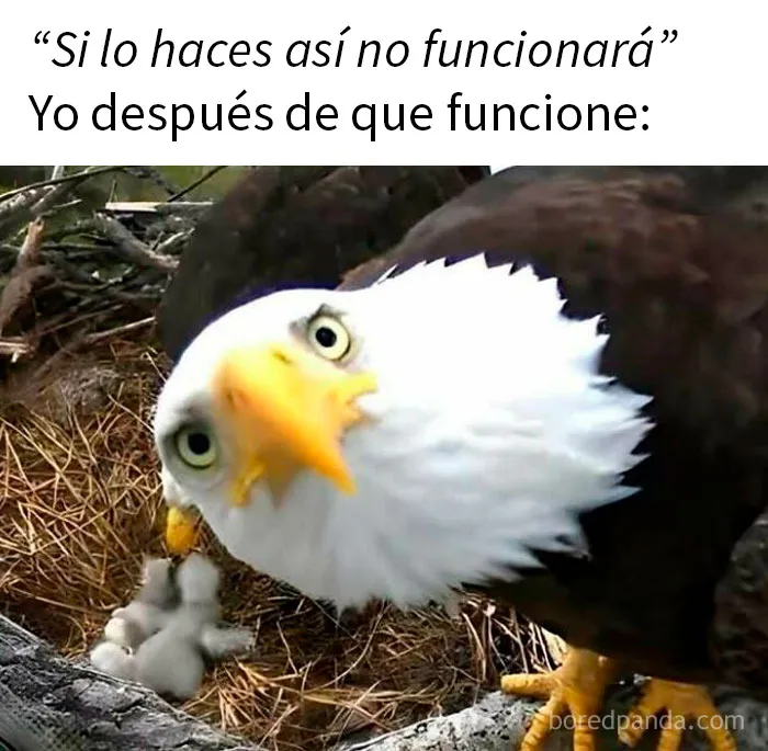 20 Memes sarcásticos que te hacen llorar por dentro y reír por fuera