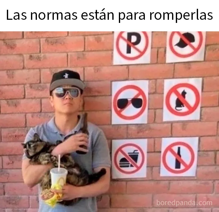20 Memes sarcásticos que te hacen llorar por dentro y reír por fuera