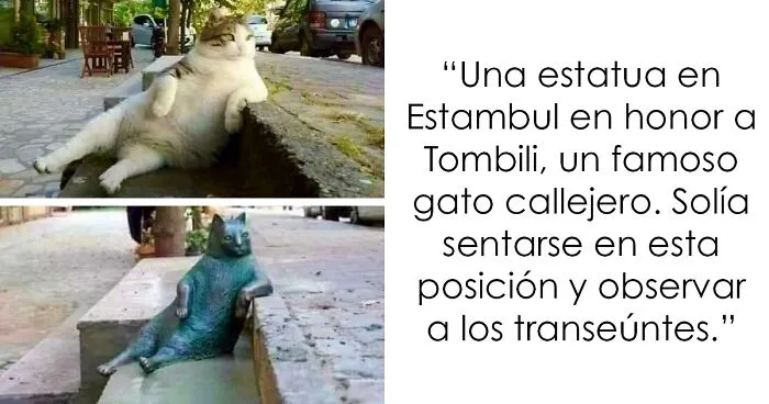 26 Datos fascinantes que nunca dejan de sorprendernos