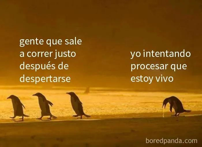 20 Divertidos memes que resultarán tan familiares como para discutirlos en terapia
