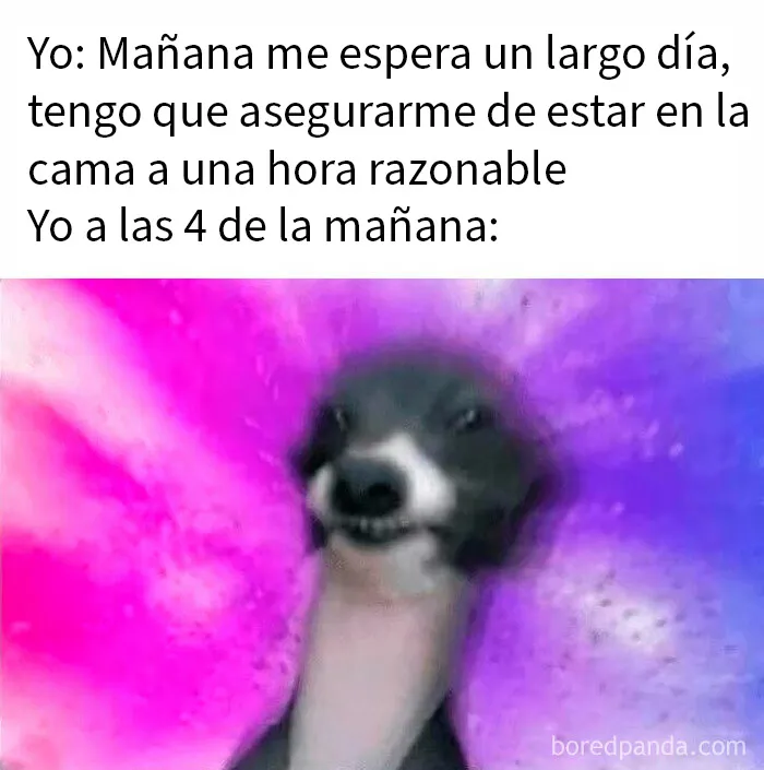 20 Divertidos memes que resultarán tan familiares como para discutirlos en terapia