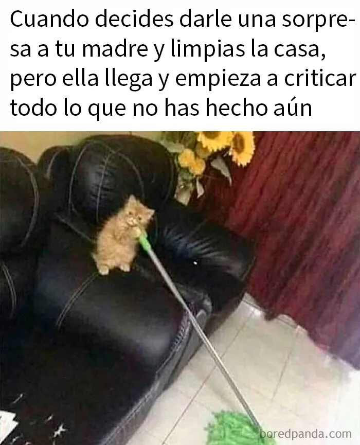 20 Divertidos memes que resultarán tan familiares como para discutirlos en terapia