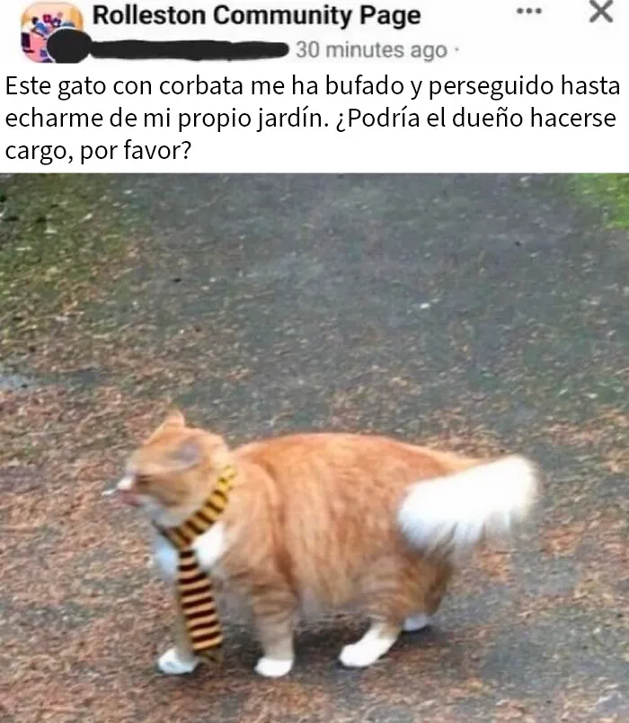 20 Imágenes divertidas de Reino Unido fuera de contexto que definen muy bien el humor británico