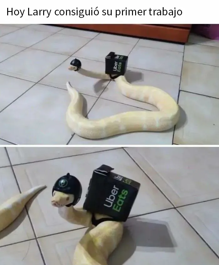 20 Memes reconfortantes para devolverte la fe en la humanidad