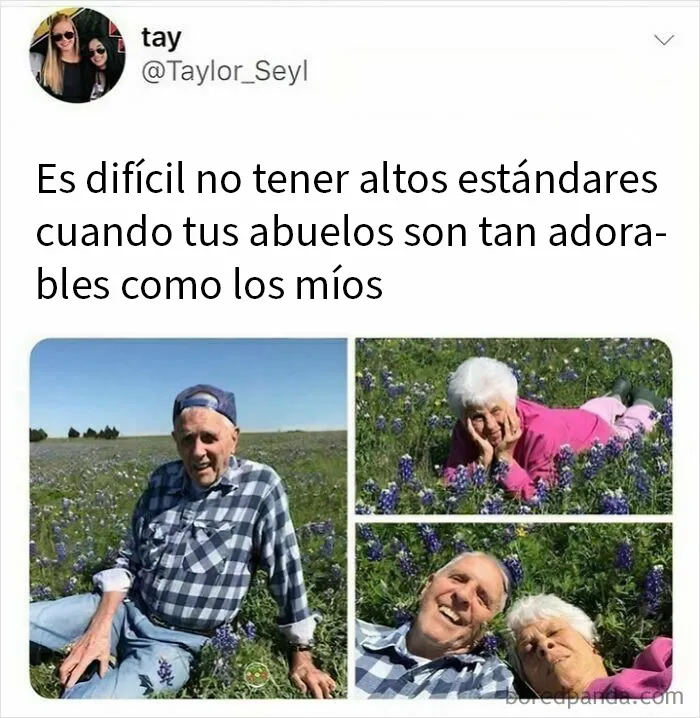 20 Memes reconfortantes para devolverte la fe en la humanidad