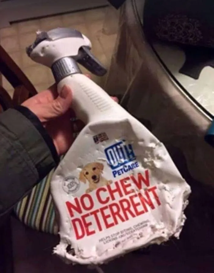 20 Divertidos y sarcásticos memes de esta página especializada en ellos