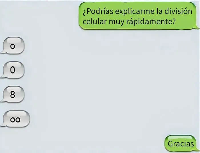 20 Divertidos memes sobre todo y nada para hacerte reír
