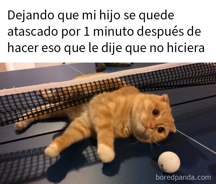 20 Divertidos memes sobre madres que resumen lo absurdo de la crianza de los hijos