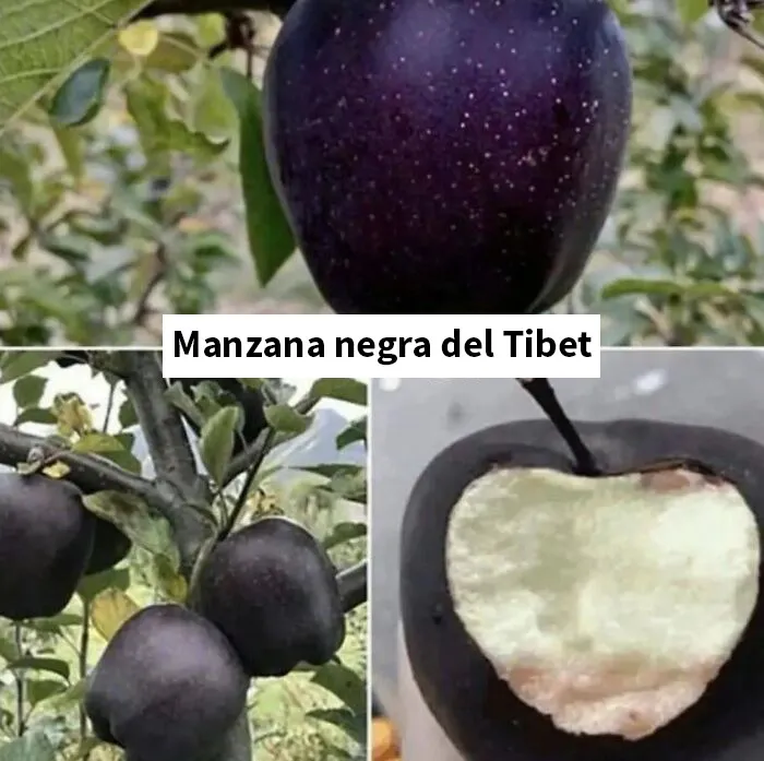 20 Publicaciones bastante interesantes que no puedes perderte