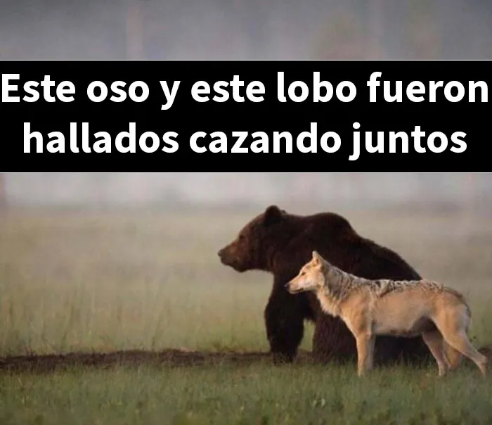 20 Publicaciones bastante interesantes que no puedes perderte