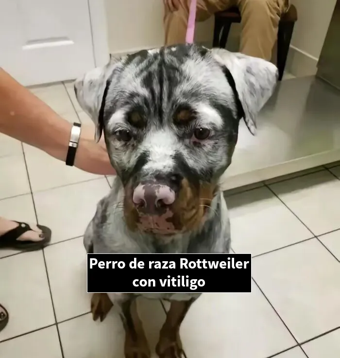 20 Publicaciones bastante interesantes que no puedes perderte